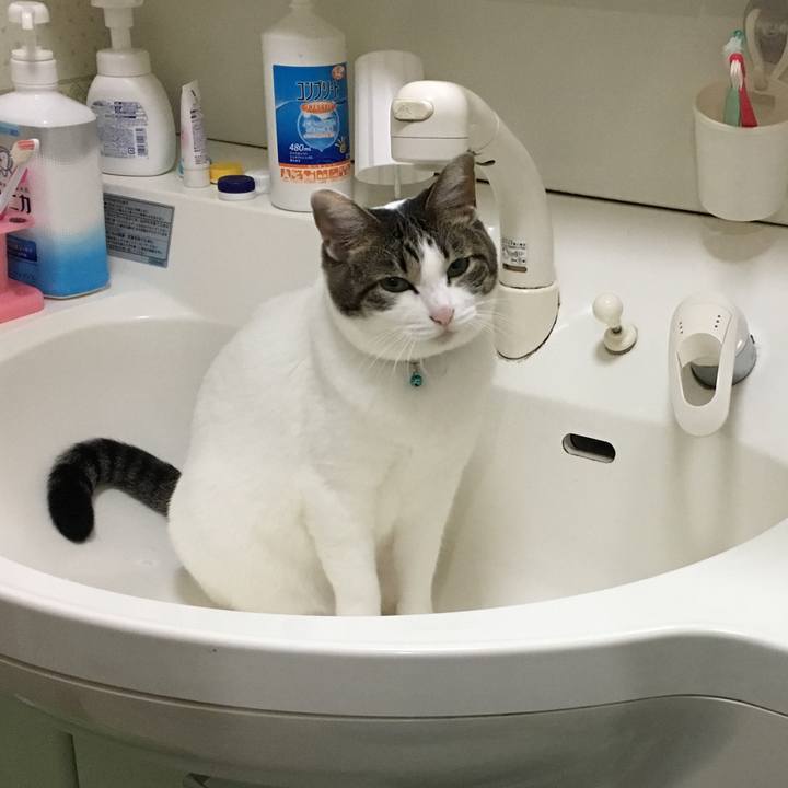 45e5f116 c812 4625 a9ec 1bc6ebef1bbb 1507898267820