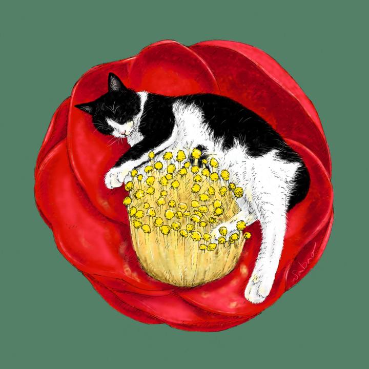 45e65891 d3a8 4a10 978d 8c03cbeab816 1701267172534