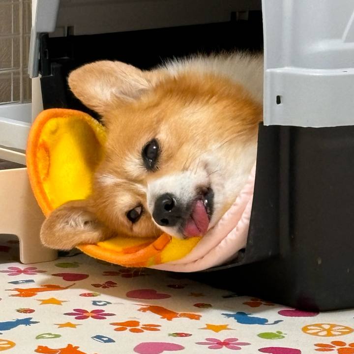 45e658bf 59ba 4e2a 9e59 72e0ac91bc09 1764677696944