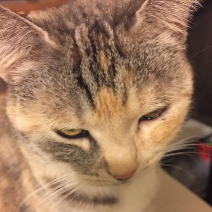 45e66ba8 fada 46c6 94ff 13da17803067 1549639065622