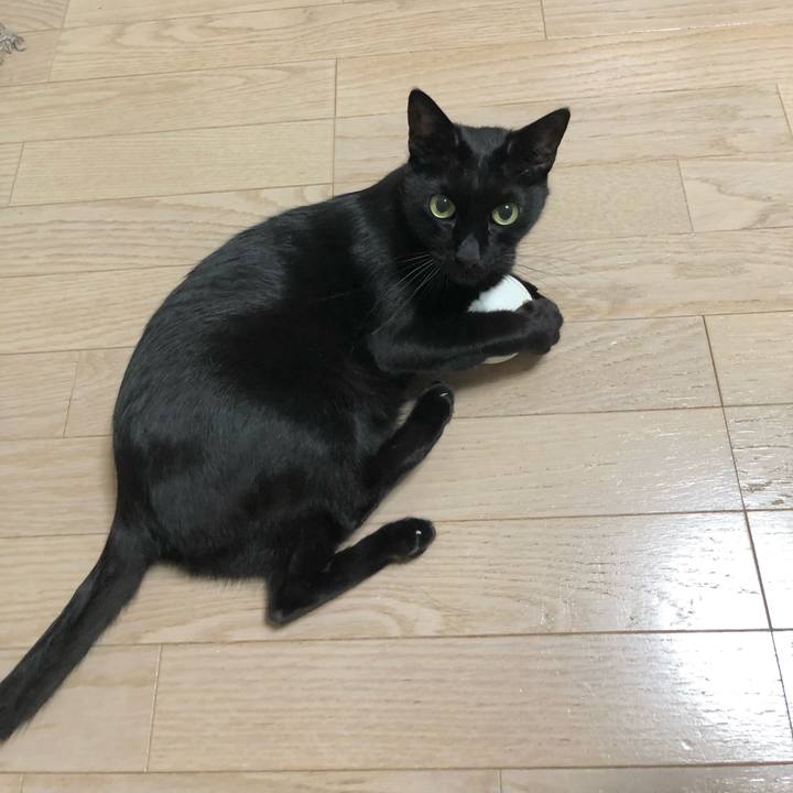 45e68174 8f65 47de ad25 1246dcf8dc3a 1627655349538