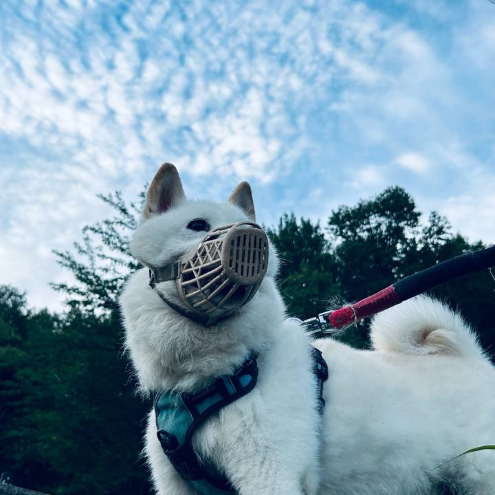 45e69a96 b88b 4cc4 b33b 6abcf8f6b0a7 1755118413729