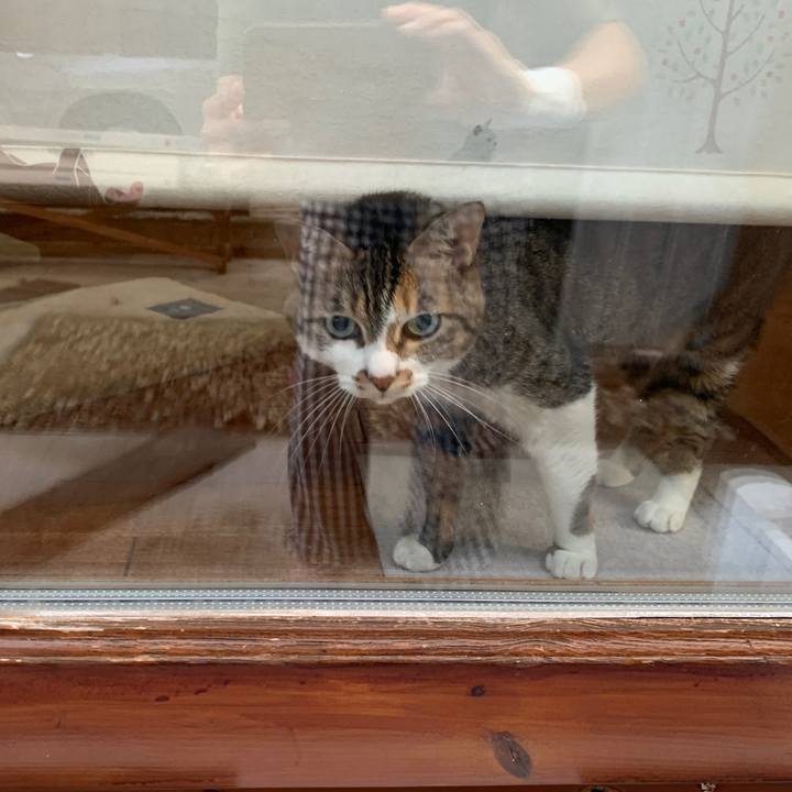 45e6c3b1 cb73 4096 8806 5ad052848cc9 1660857255575