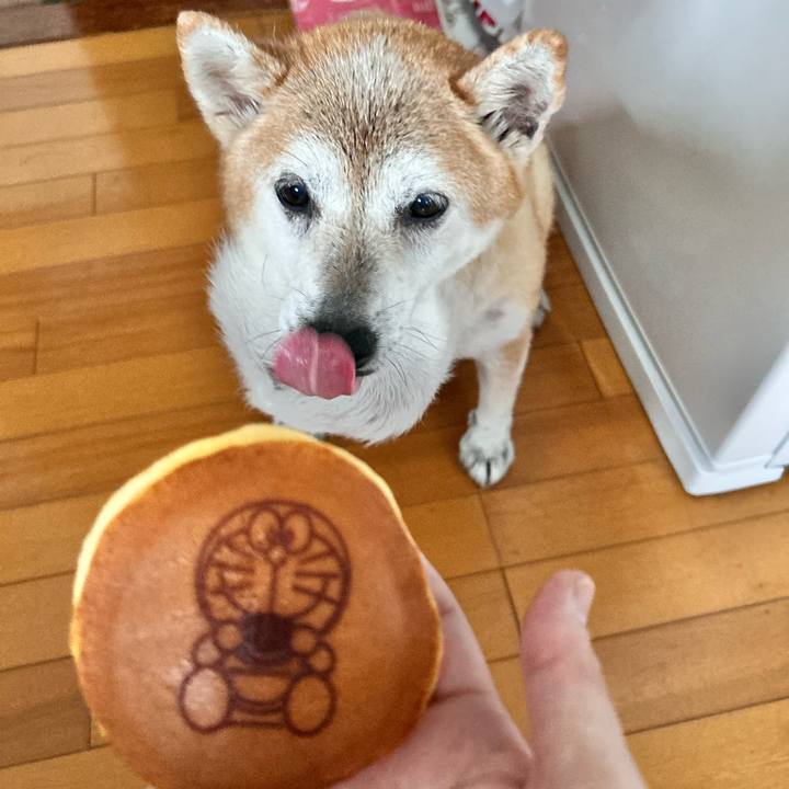 45e6e23d 3aa1 4004 8698 b44e91e6d3b3 1759556542757