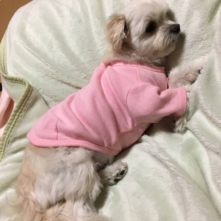 45e6eb8c 43bb 4c55 ba50 64a366bb354b 1518865334279