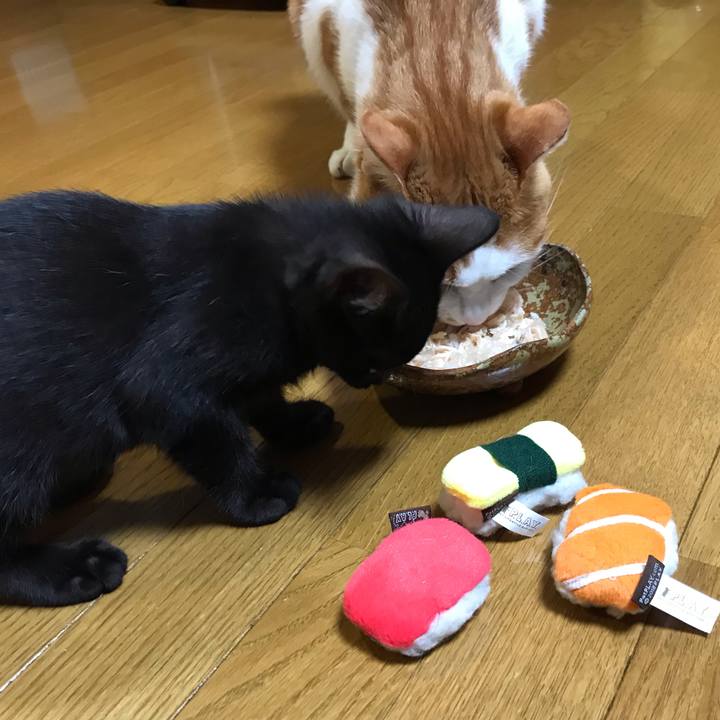 45e6fc7c 1f9a 4600 898f baed1e681d57 1563718228311