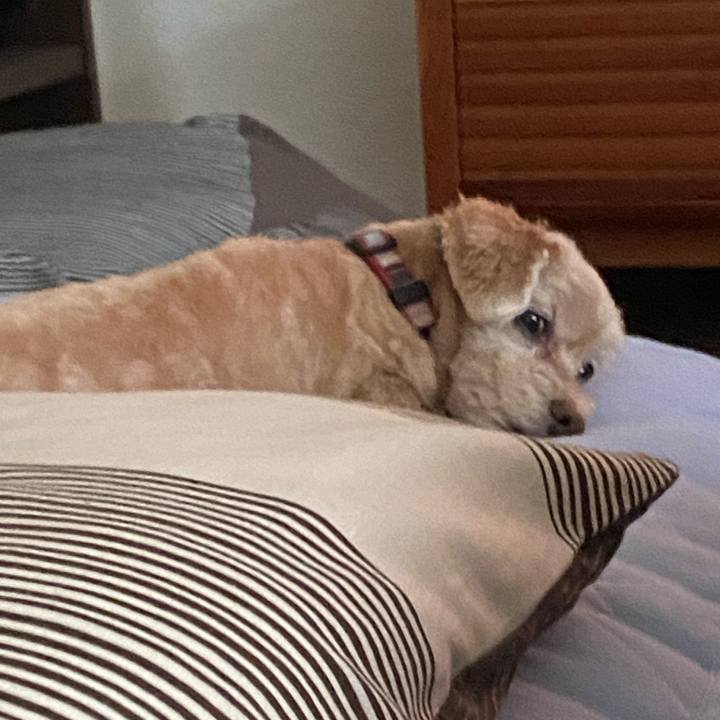 45e716dc 7672 4a8e 995e e286d0006226 1659570644219