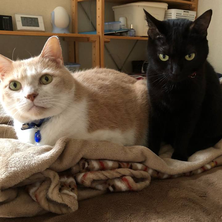 45e717e2 0bcc 4d44 8eec af2fb8e89646 1541849876804