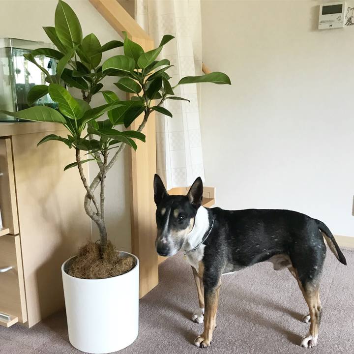 45e72b21 cb2a 4a0a 927e 0459e6307917 1524895783547