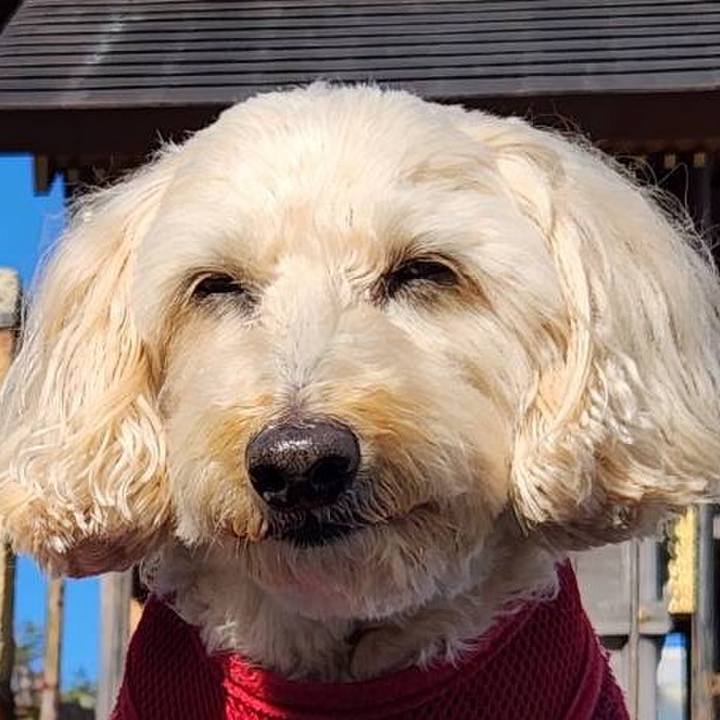 45e77cae ff9d 4574 9c77 629290b047e8 1764991362832