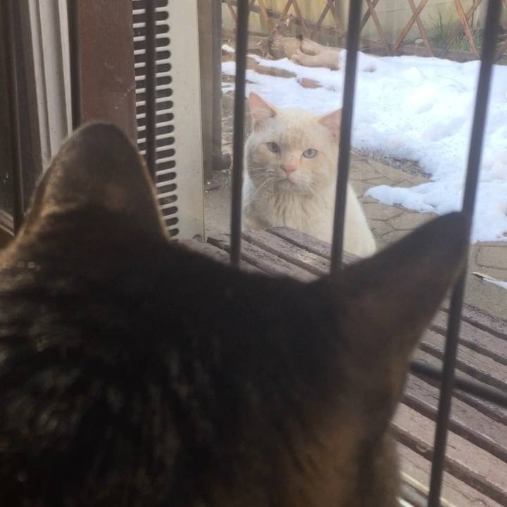 45e79cf6 500c 4d94 9a47 1409ad53d6bc 1517570631269