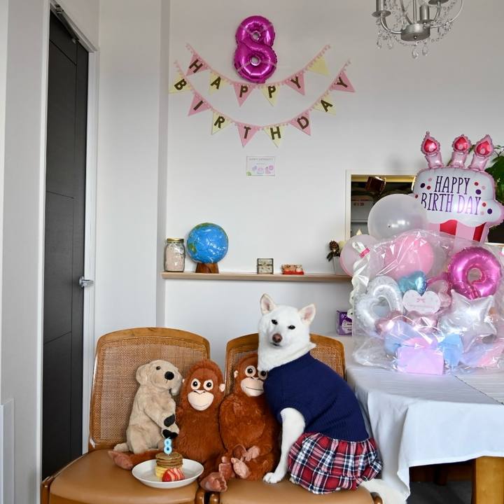 45e79efe 8f8d 4f5f 93c5 4e6bc1ef441f 1769515032211