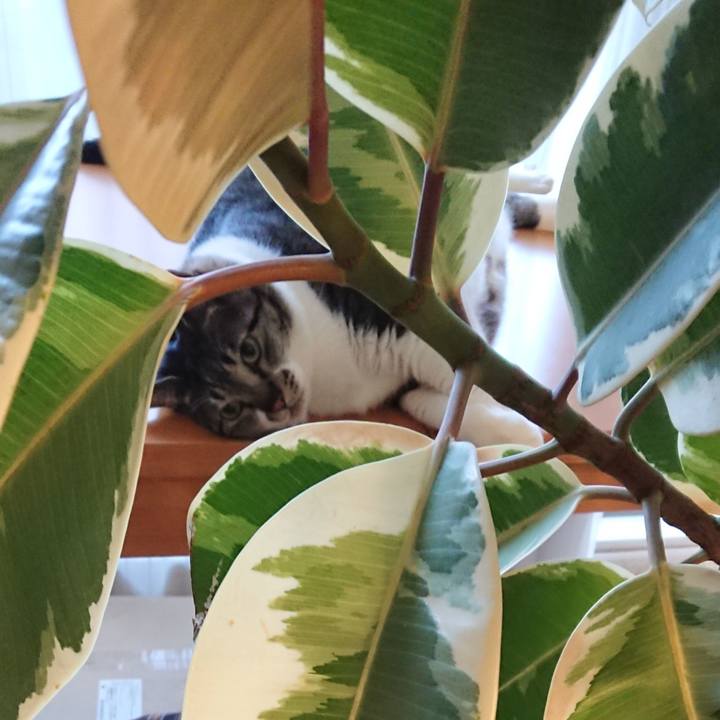 45e7b047 d920 4e92 a2d3 1e5f2f3f7d02 1558397464568