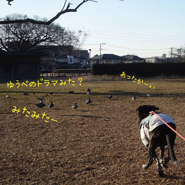 45e7c93e 6348 4f6d 883d 015bc1983619 1706577812150