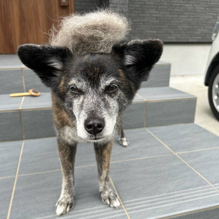 45e844c3 6690 4cd4 9e97 e6e1a6751e4e 1718841184668