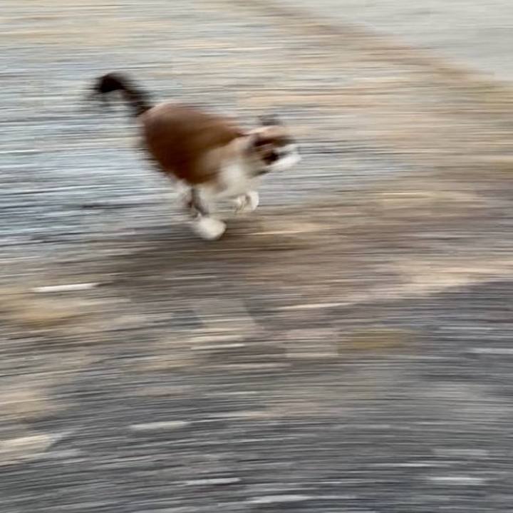 45e861b0 9d03 4787 be41 d85389f6479b 1767253532571