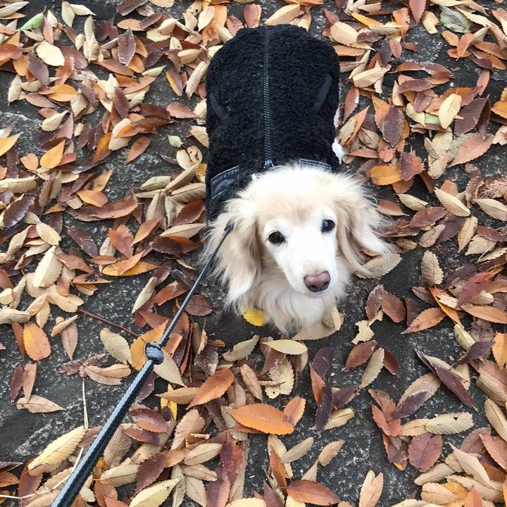 45e8a86b d539 45ea bfe2 011fdb418420 1763082631667