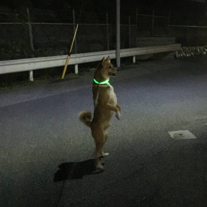 45e8ac5d 621c 4413 91b9 e405265baf8a 1530193301282