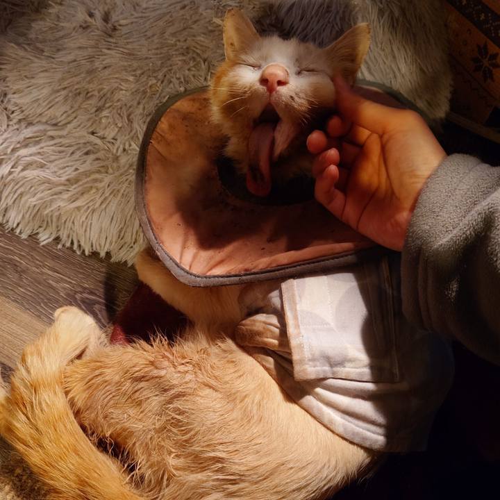 45e8bf87 3b67 4405 8eae a0ae0985b300 1766129815072