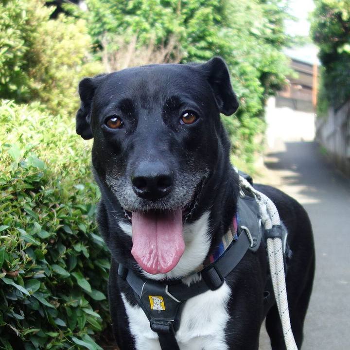 45e8c69b ce01 42f3 a0e1 1e05aa349ffa 1657323781700