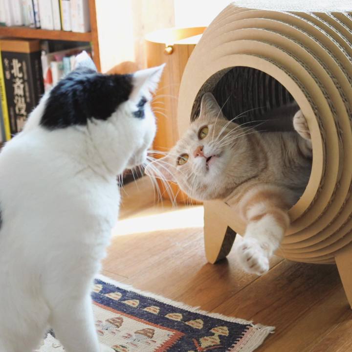 45e8dca9 71c0 4b47 b1a4 9e2dddec5542 1590402010193