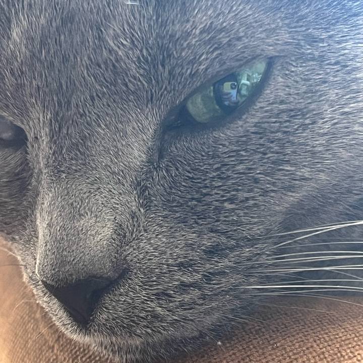 45e90777 5451 4f09 8982 18fb7d79c582 1716035429857