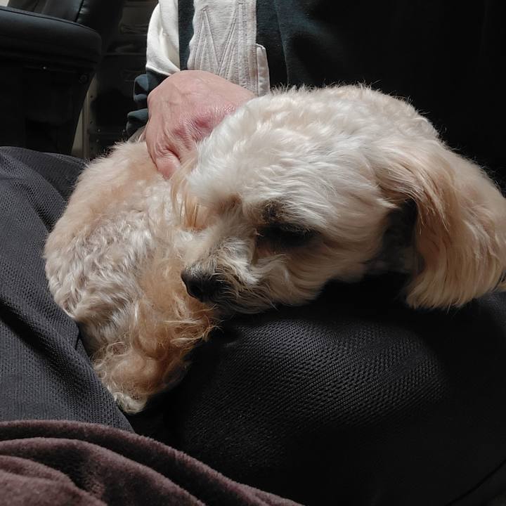 45e91556 03f8 4bd4 88f4 a4828adfaf28 1635982003062