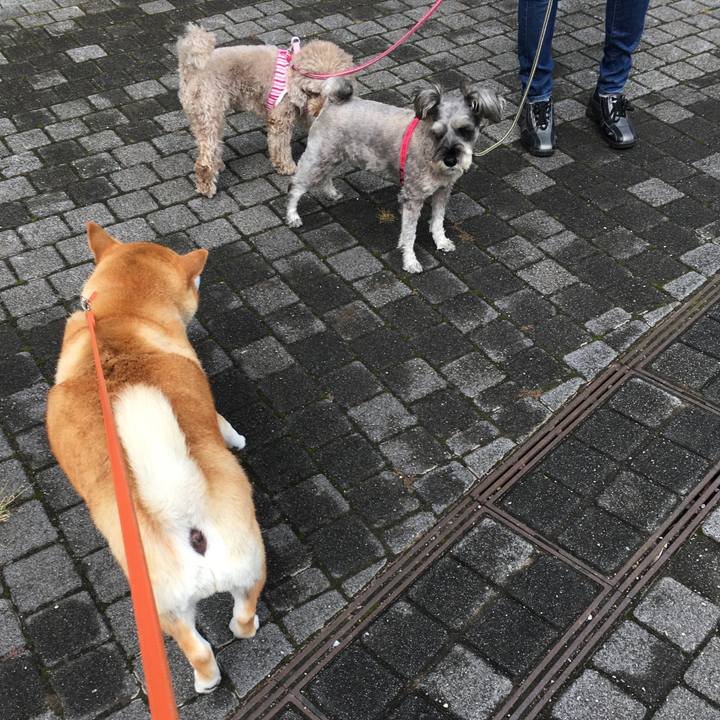 45e92645 c58e 4b68 9250 ba31163be035 1601526597126