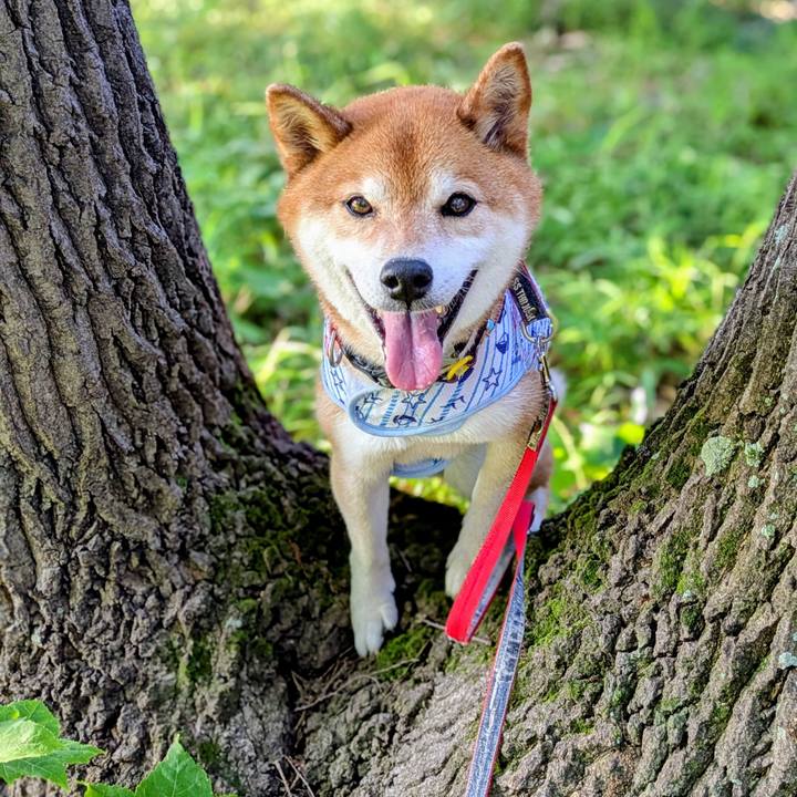 45e93b67 aebe 49a6 a91a e2fe2ddf0c35 1750731640120