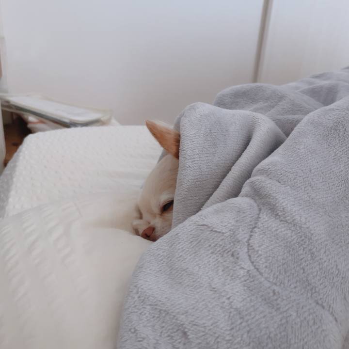 45e94cfd d574 48c4 8cd3 07d6d658a1e8 1765323831650