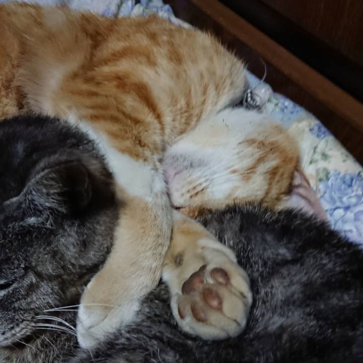 45e95e32 36a7 4317 aee8 7471efee7c84 1588252333855