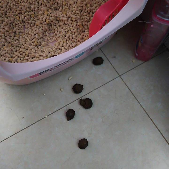 45e96a4f 8da1 466c 8b1a 94e4d53ec995 1527321561776