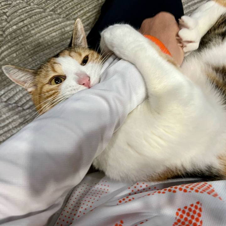 45e980b4 b596 481d ac2c 8f7fef833a14 1764214755871