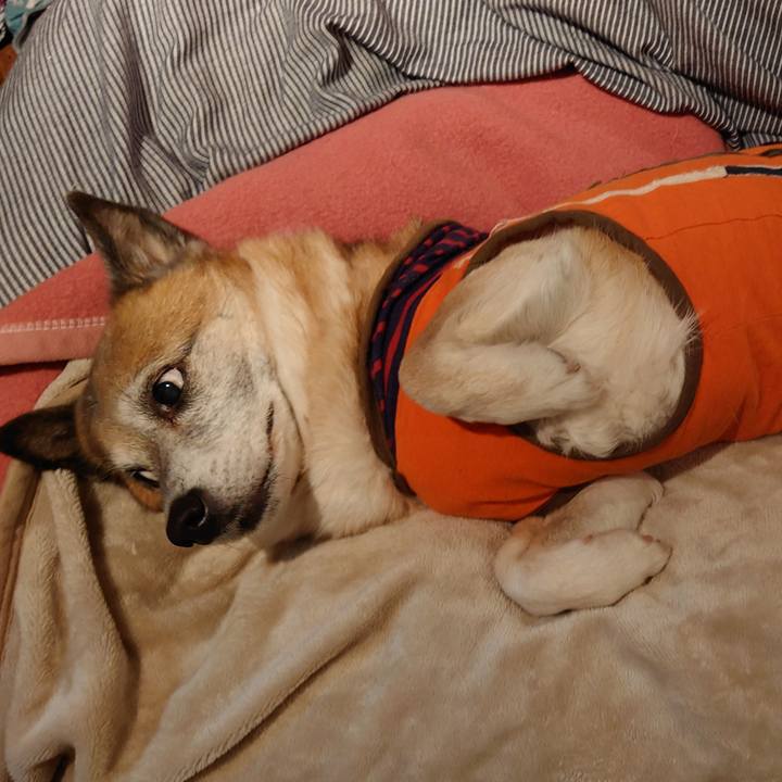 45e98a39 d3a0 443c 8ade e4c519039cc5 1618492399630