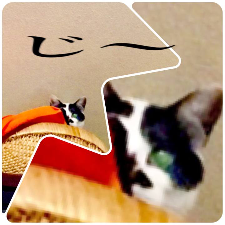 45e9a0f0 f59e 4760 8a10 429f99003c0b 1522839631309