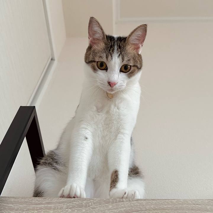 45e9a977 ba7e 46e4 8fa0 16845d78200f 1760222147620