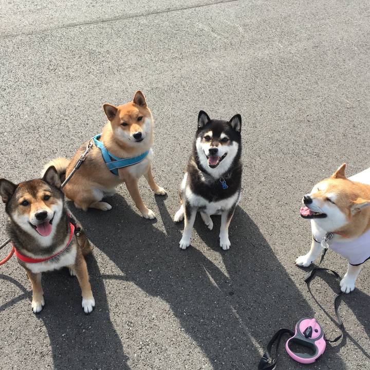 45e9bcbe 18b7 428f b445 c2b94f6837d3 1539914500753