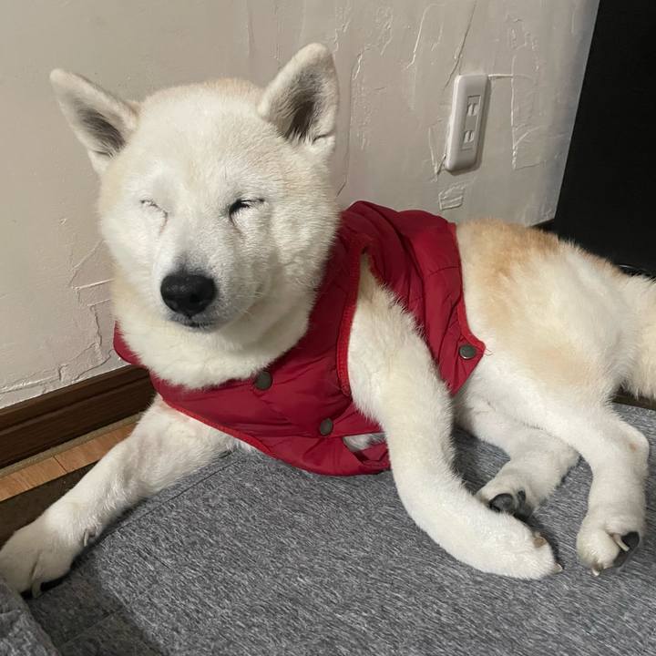 45e9dbc0 b25b 4f63 8948 3de01ab06ee8 1701336236526