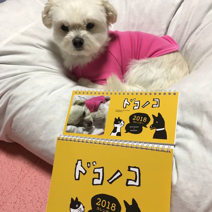 45ea10c4 a9f3 4fb6 b12c 1d587f8674b0 1511007325015