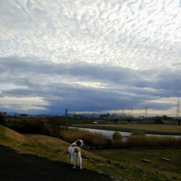 45ea3707 33b5 4539 8732 27ce37baadcc 1547035407215