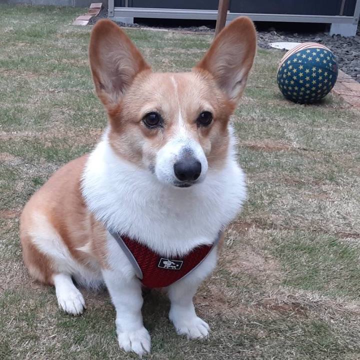 45ea4251 bd6f 4e1d 8820 3a766d752865 1669124827674