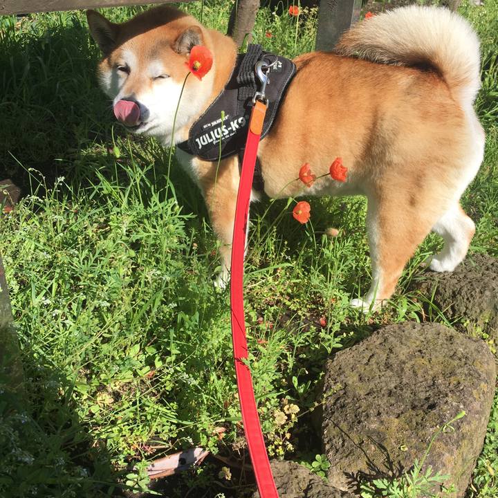 45ea76d7 c693 4619 85f1 3e36dfc5d3f0 1618442750613