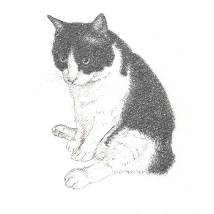 45ea9211 5b94 4398 a4e7 caecb95013f5 1544098356702