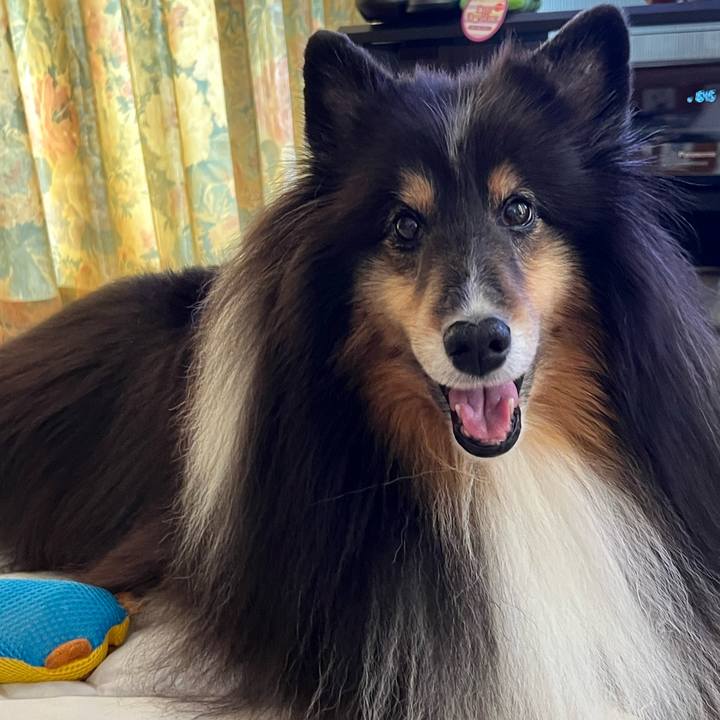 45eae0cc 58ee 4e87 9247 d32619363f9f 1689959958493