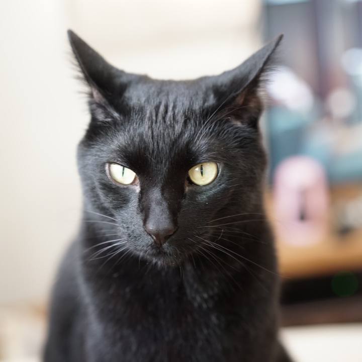 45eb09cb 4358 42fb 89ac dcfd43908864 1558090389159