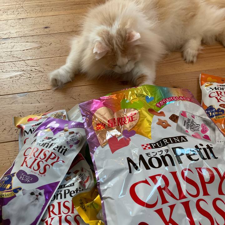 45eb1e19 c744 4ed0 97b4 0d8440a31e6f 1636054685850