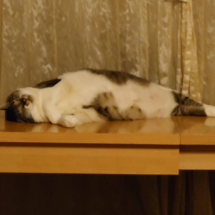 45eb26b8 a6cd 4dad 9fcf abf416bbb6dd 1656419394903