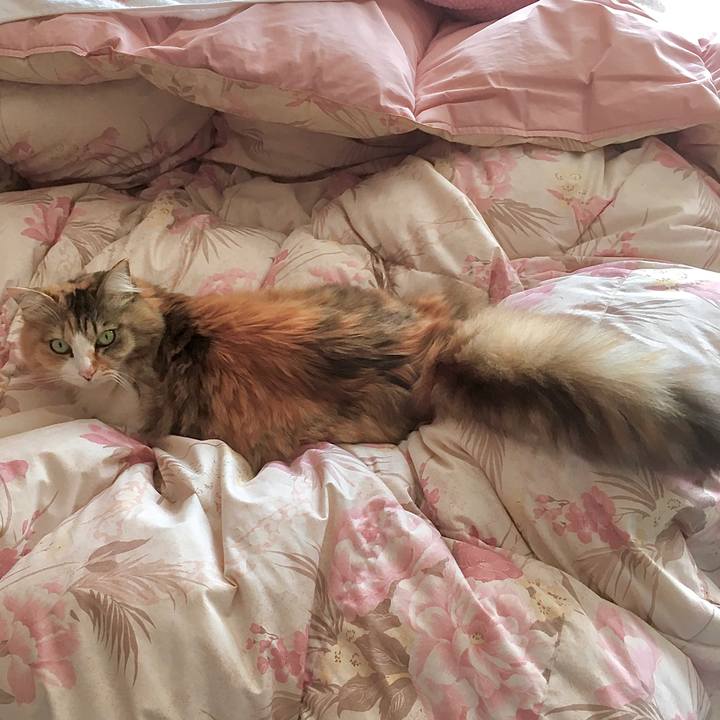 45eb649b 5548 4efa 86c5 2035a7741aff 1582361958416