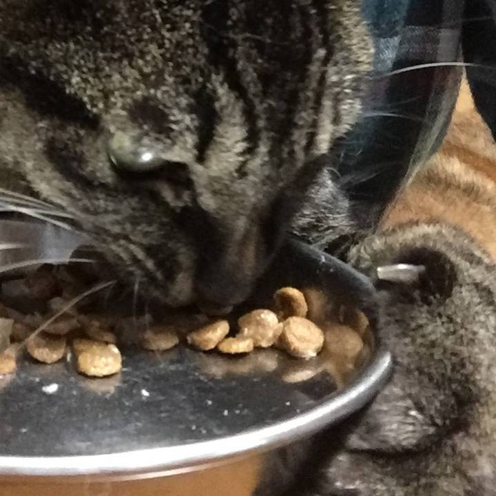 45eb85ab 1f51 4134 a8d9 490267271443 1595372700229