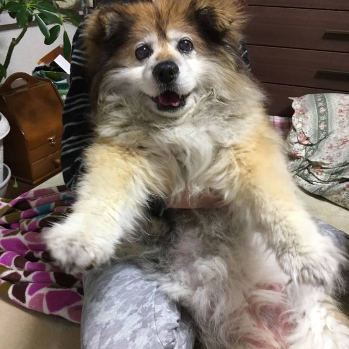 45eb8d9f 7cf6 404a 9096 648a8e3cbea1 1552454158320